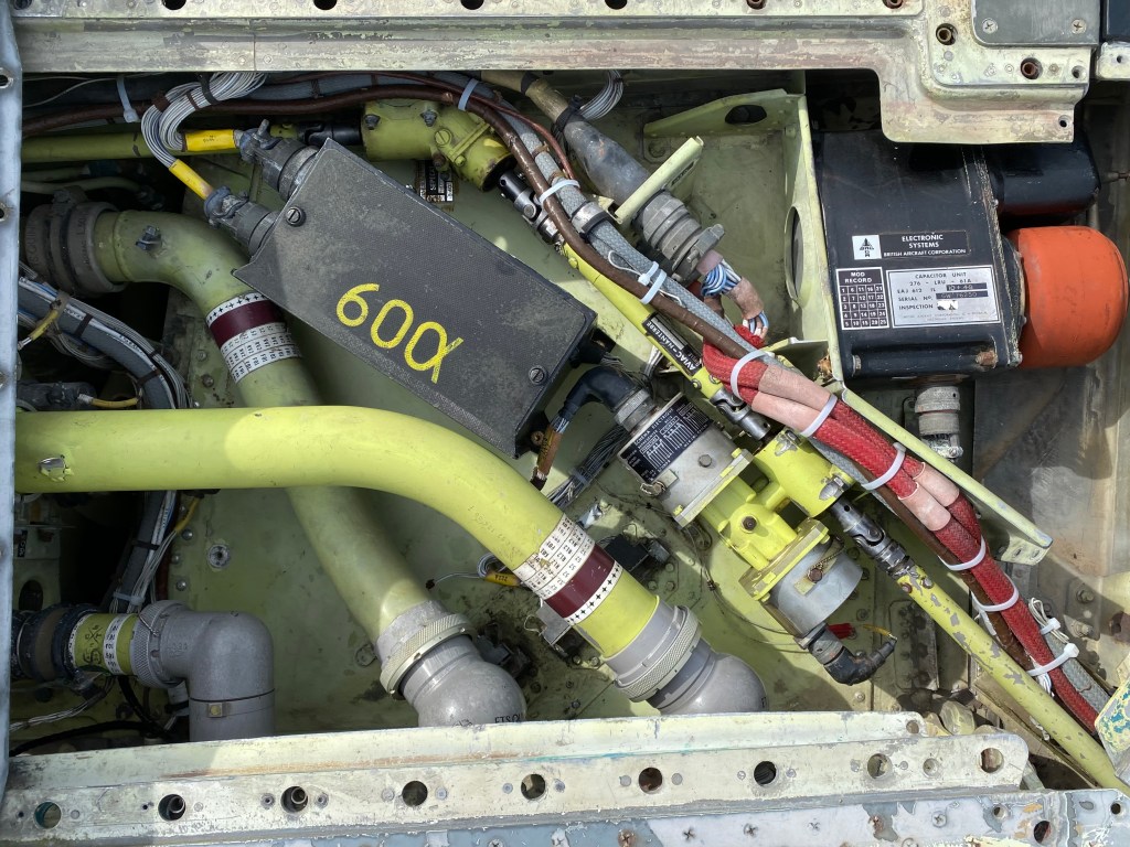 This image has an empty alt attribute; its file name is img_5026.jpeg