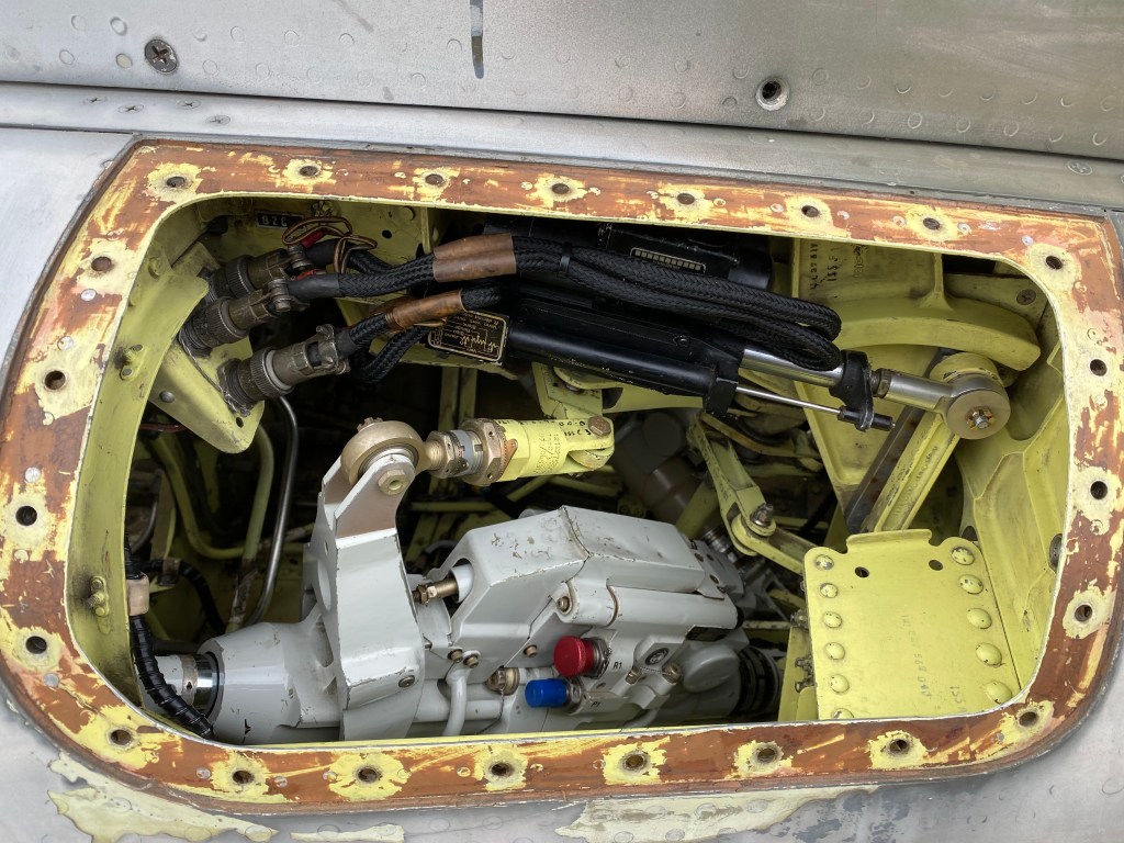 This image has an empty alt attribute; its file name is img_6116.jpeg