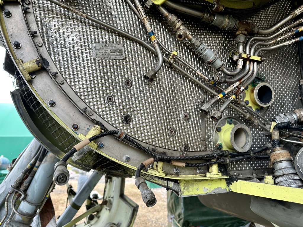 This image has an empty alt attribute; its file name is img_8512.jpeg