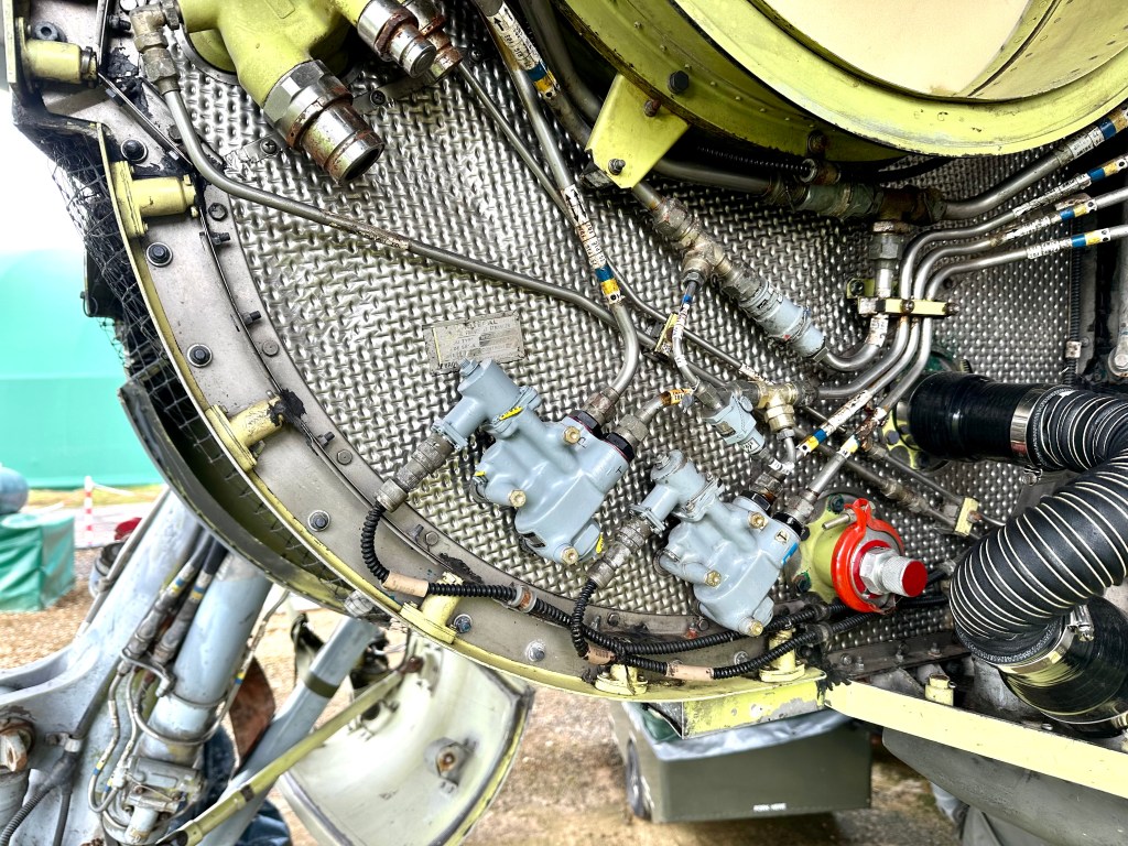 This image has an empty alt attribute; its file name is img_8700-1.jpeg